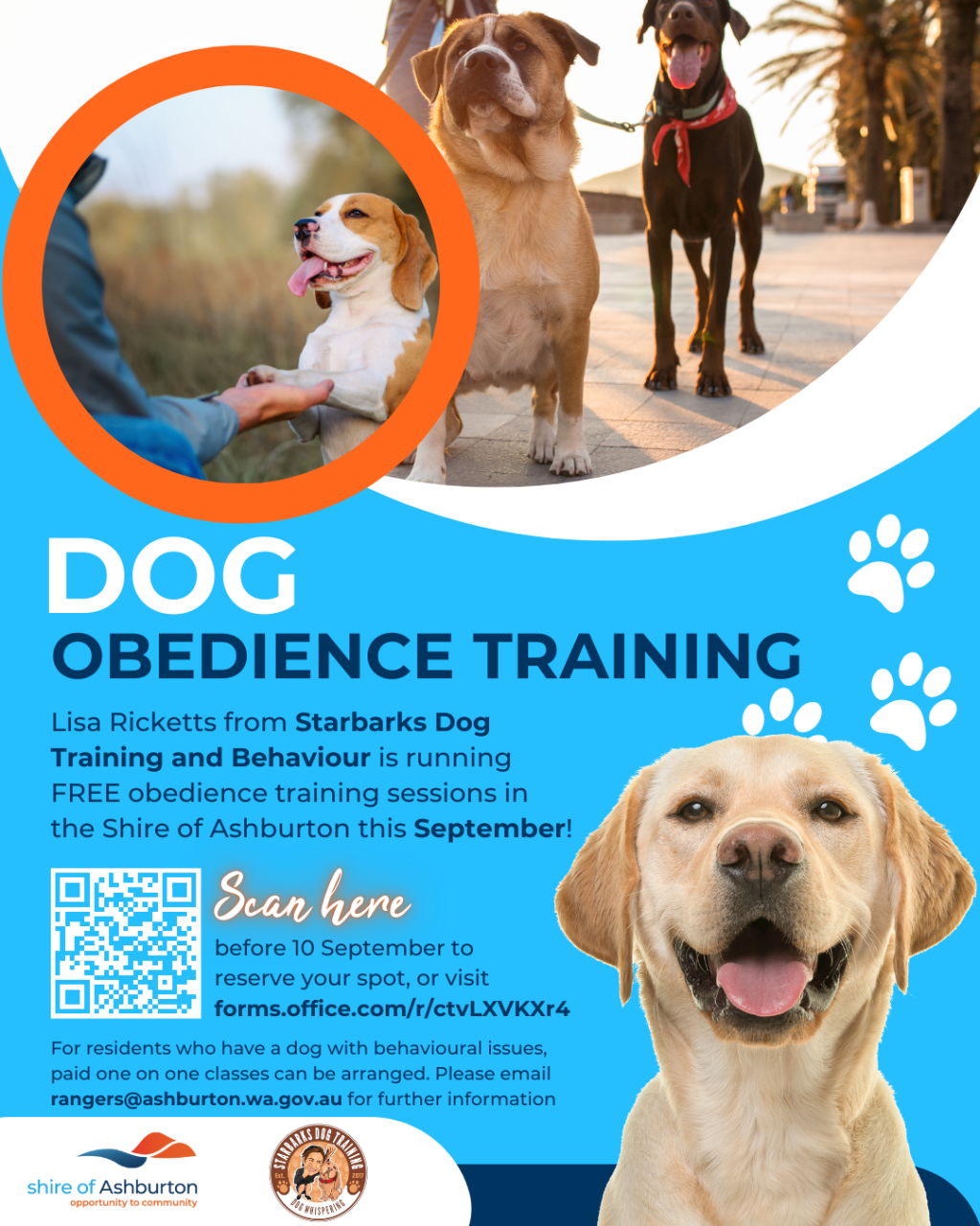Dog Obedience Training Workshops