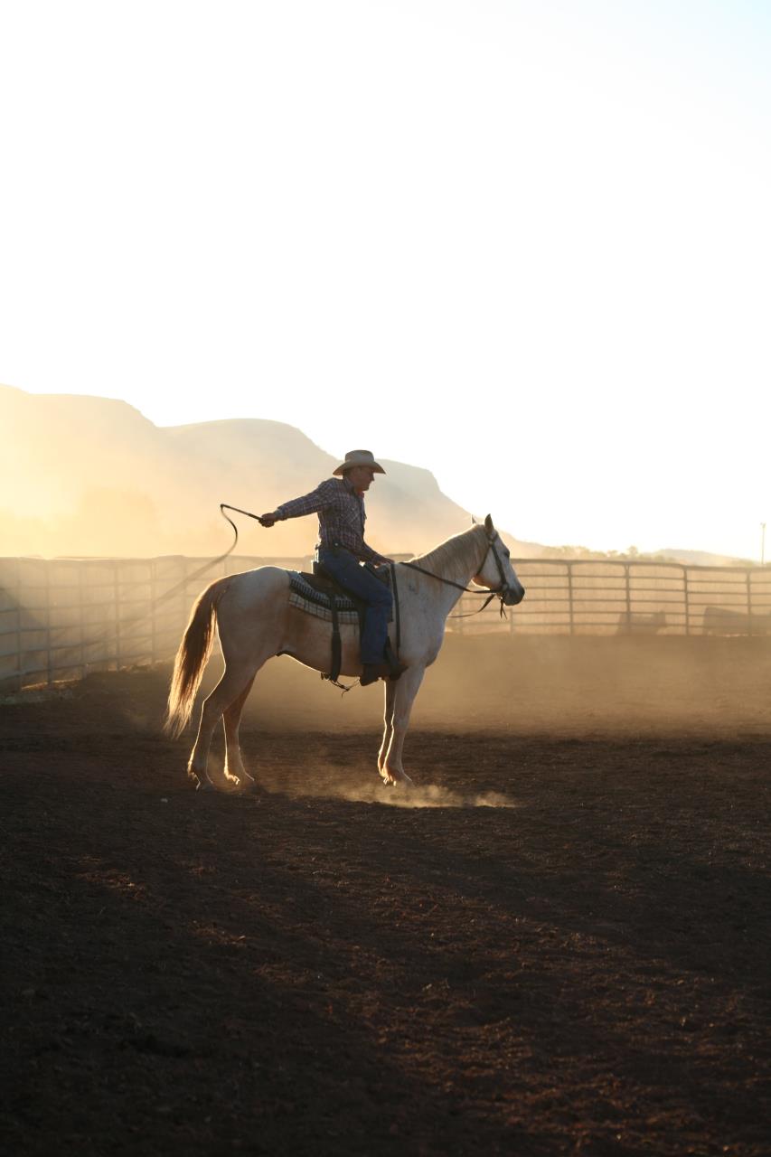 Tom Price Campdraft
