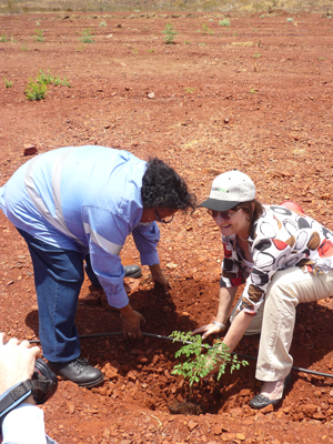 Wendy_Duncan_planting_a_Moringa_Tree_with_Ashburton_Aboriginal_Corporations_Doreen_James