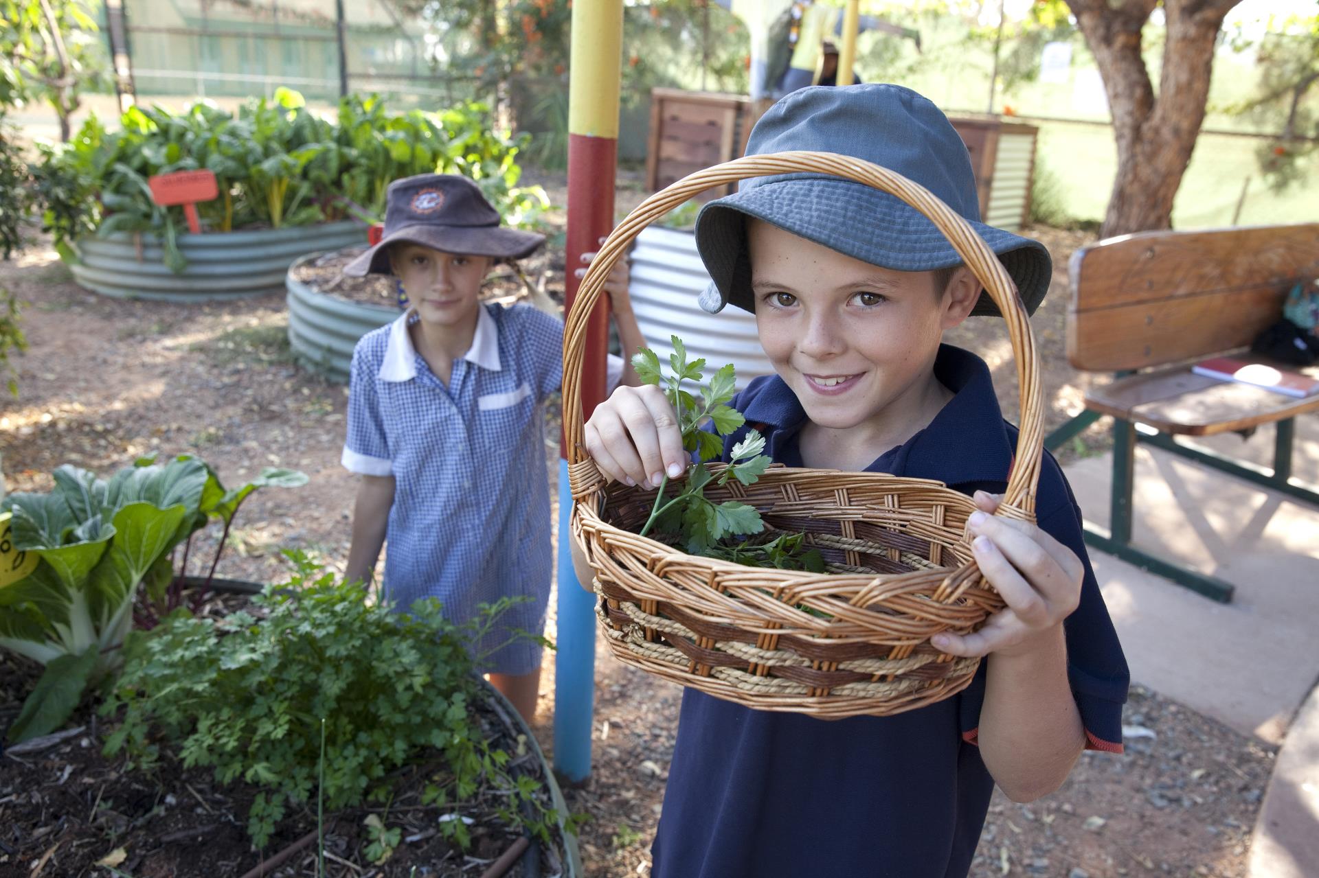 Outdoor Classroom Growing Healthy Habits 2