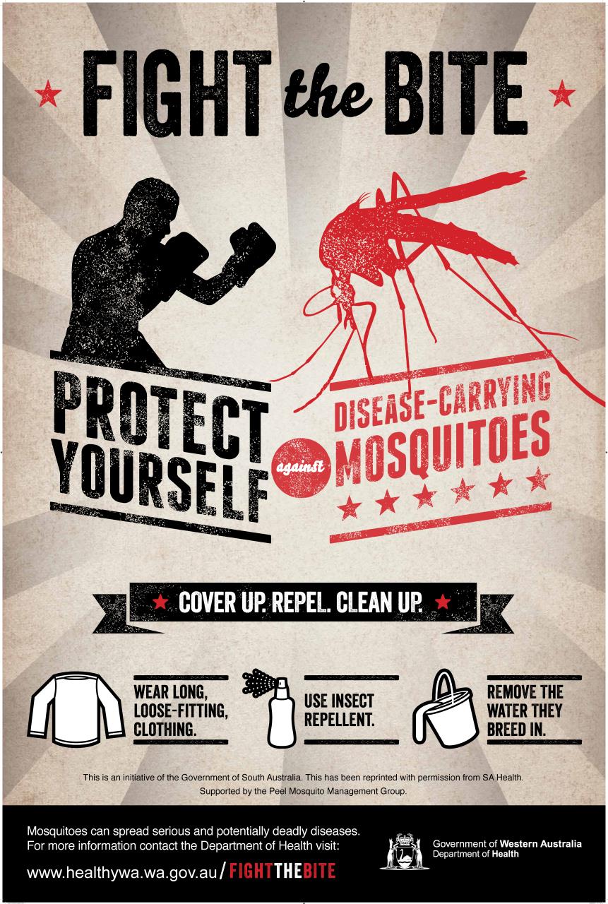 Mosquito-borne disease warning for northern WA