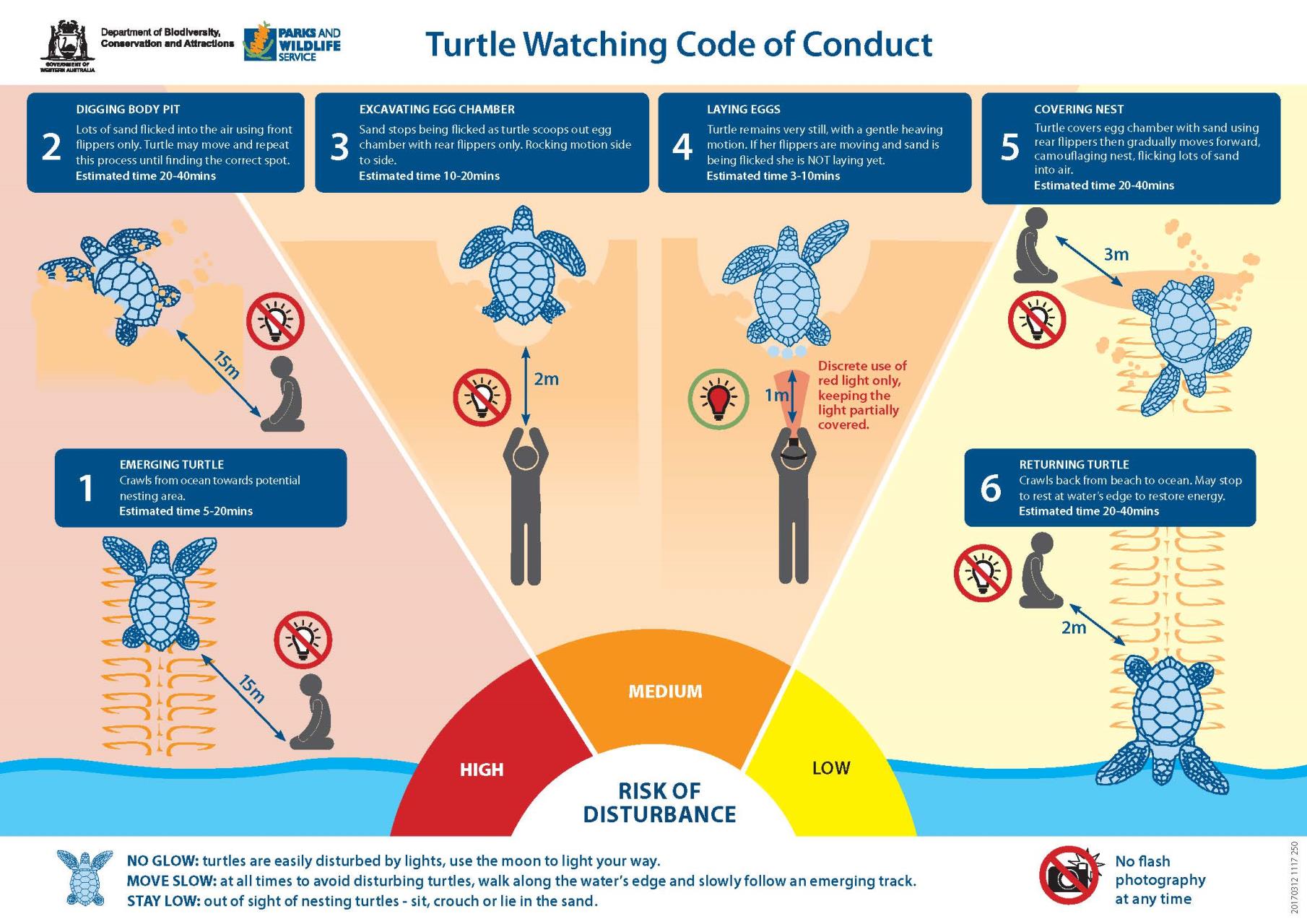 Be aware of turtle nesting and hatching season
