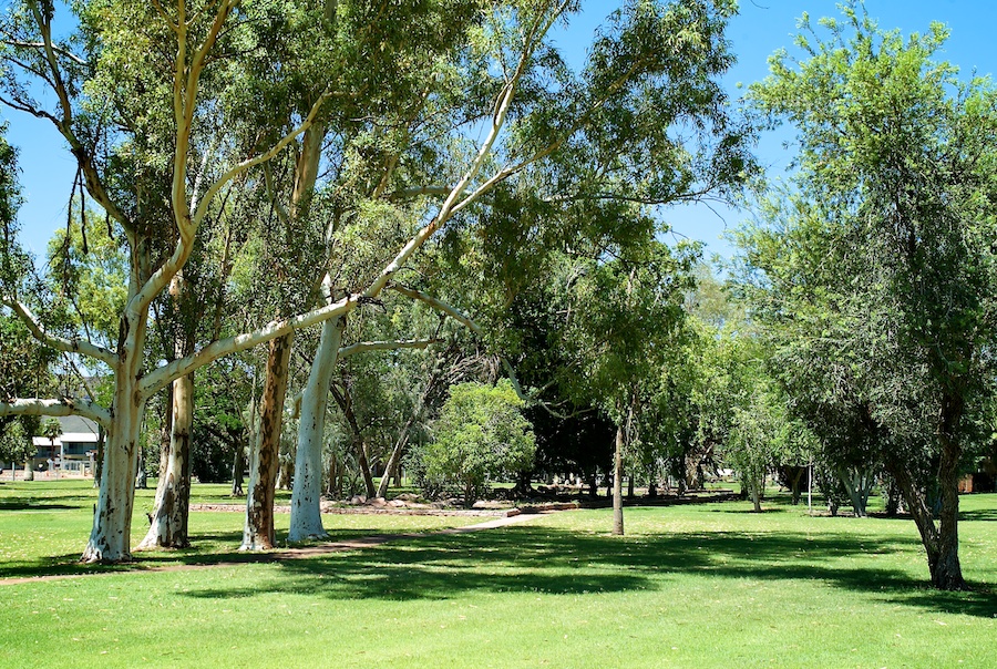 Paraburdoo Memorial Garden