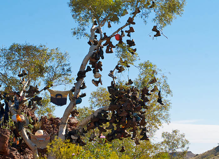 The Boot Tree