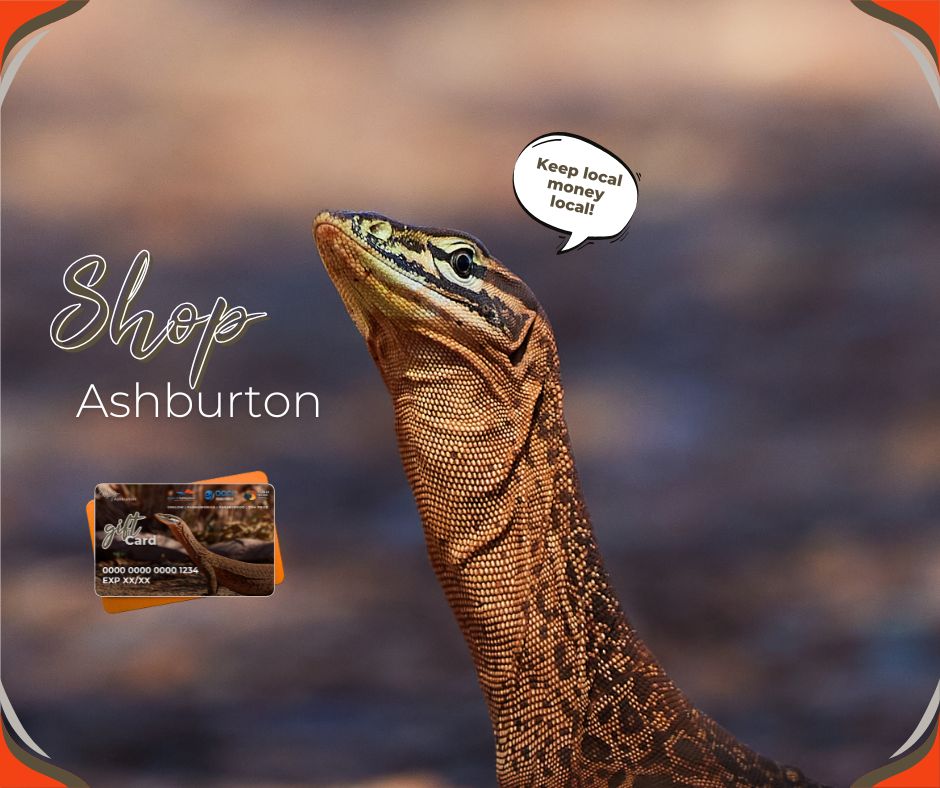 Shop Ashburton Image