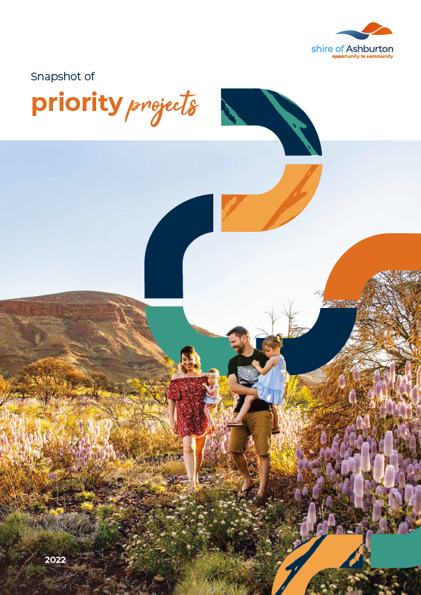 Snapshot of Priority Projects