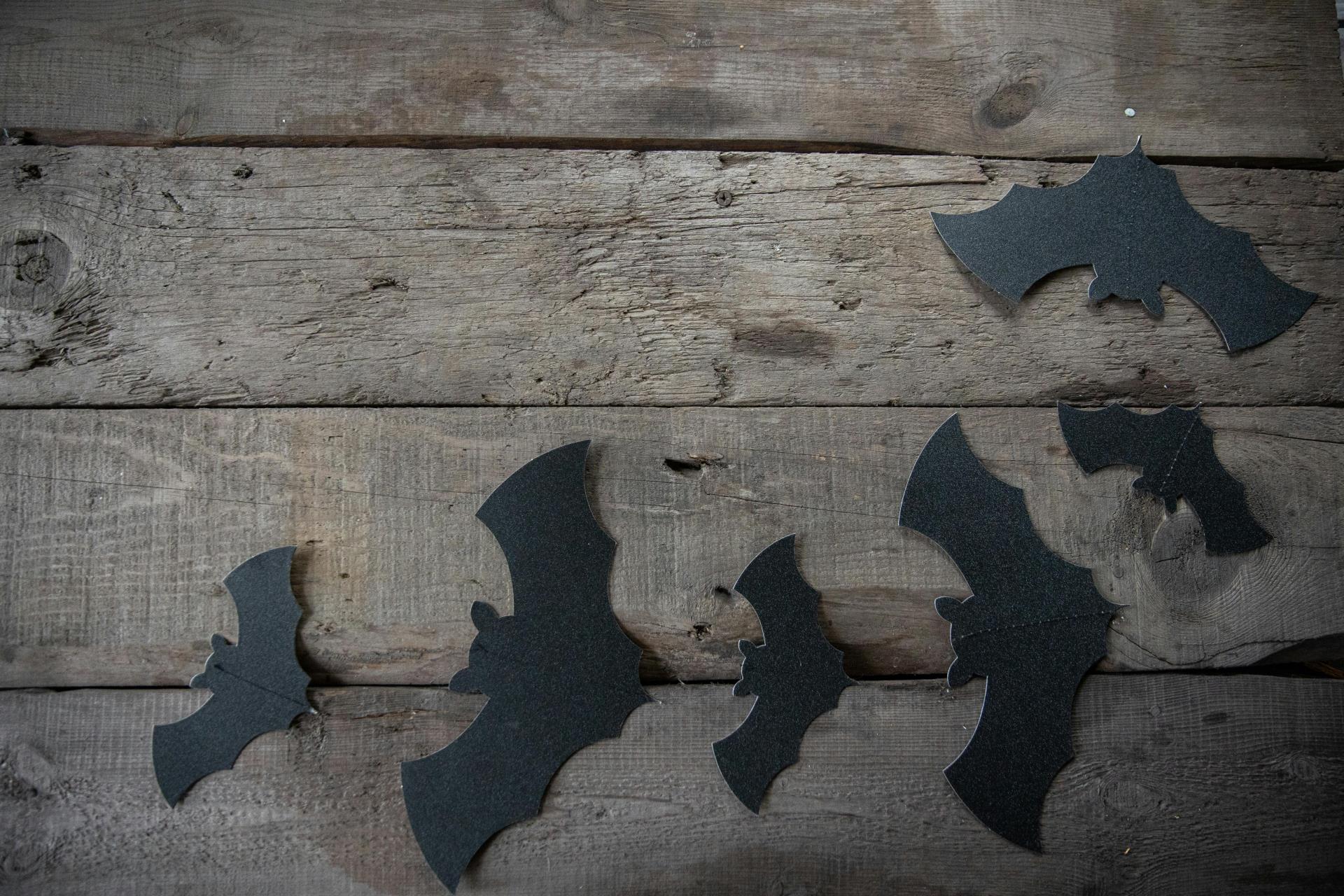 Tom Price Youth Halloween Craft