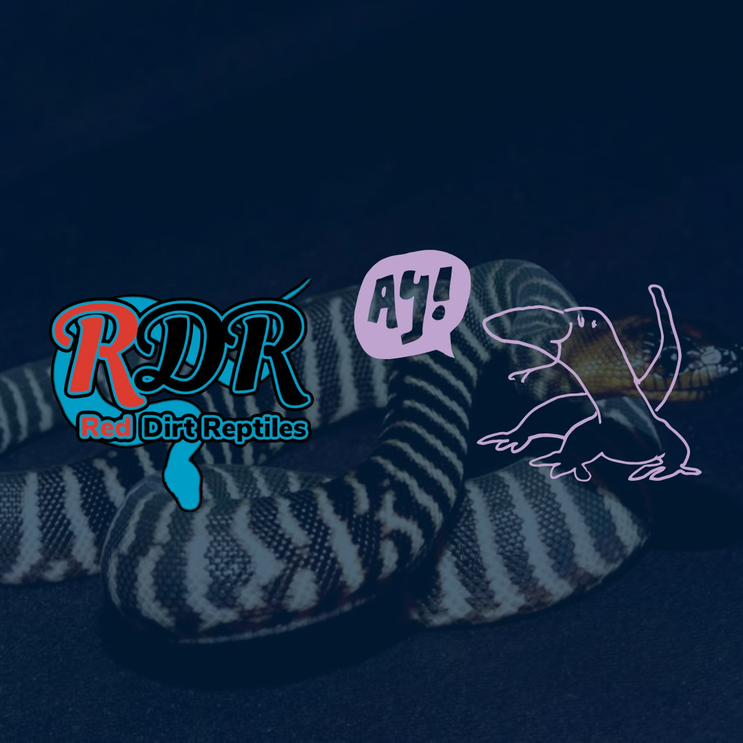 Pannawonica Red Dirt Reptiles