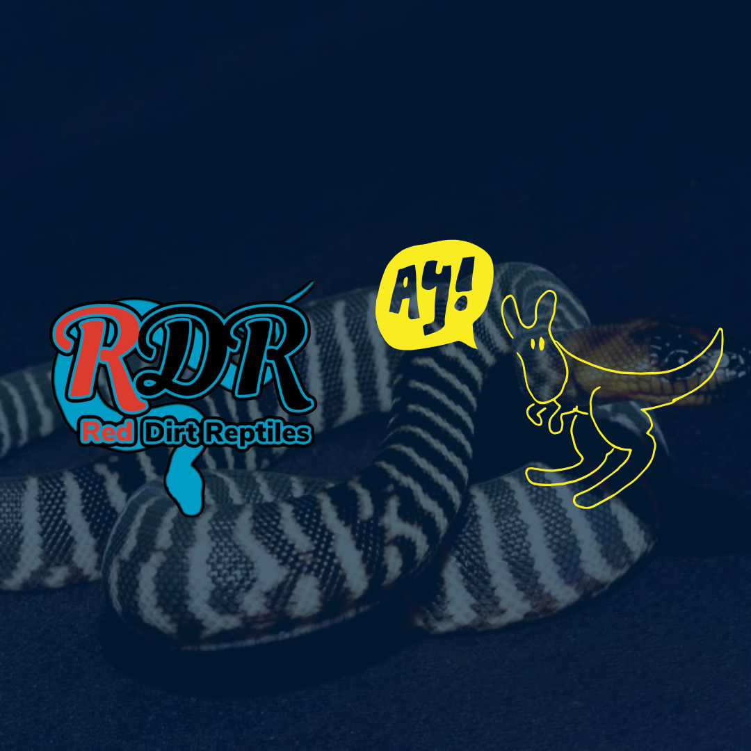 Tom Price Red Dirt Reptiles