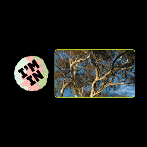Paraburdoo Reconciliation Week Yinhawangka Living Cultures – Open Door