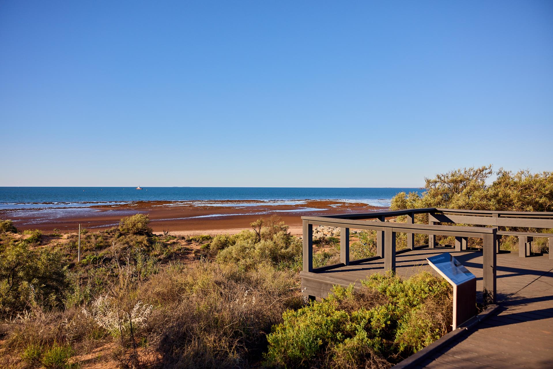 Audit, Risk and Improvement Committee