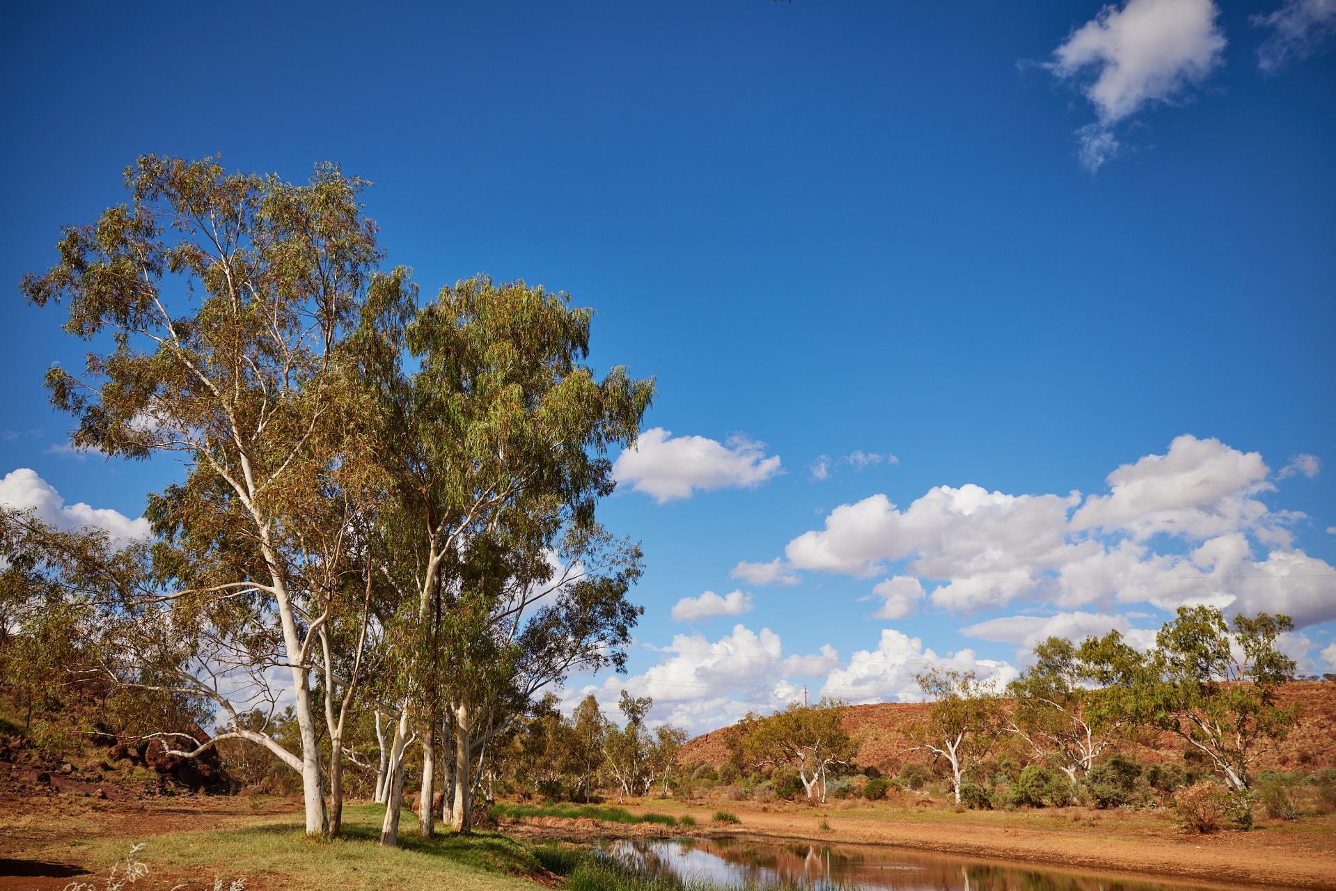 Economic and Tourism Development Committee