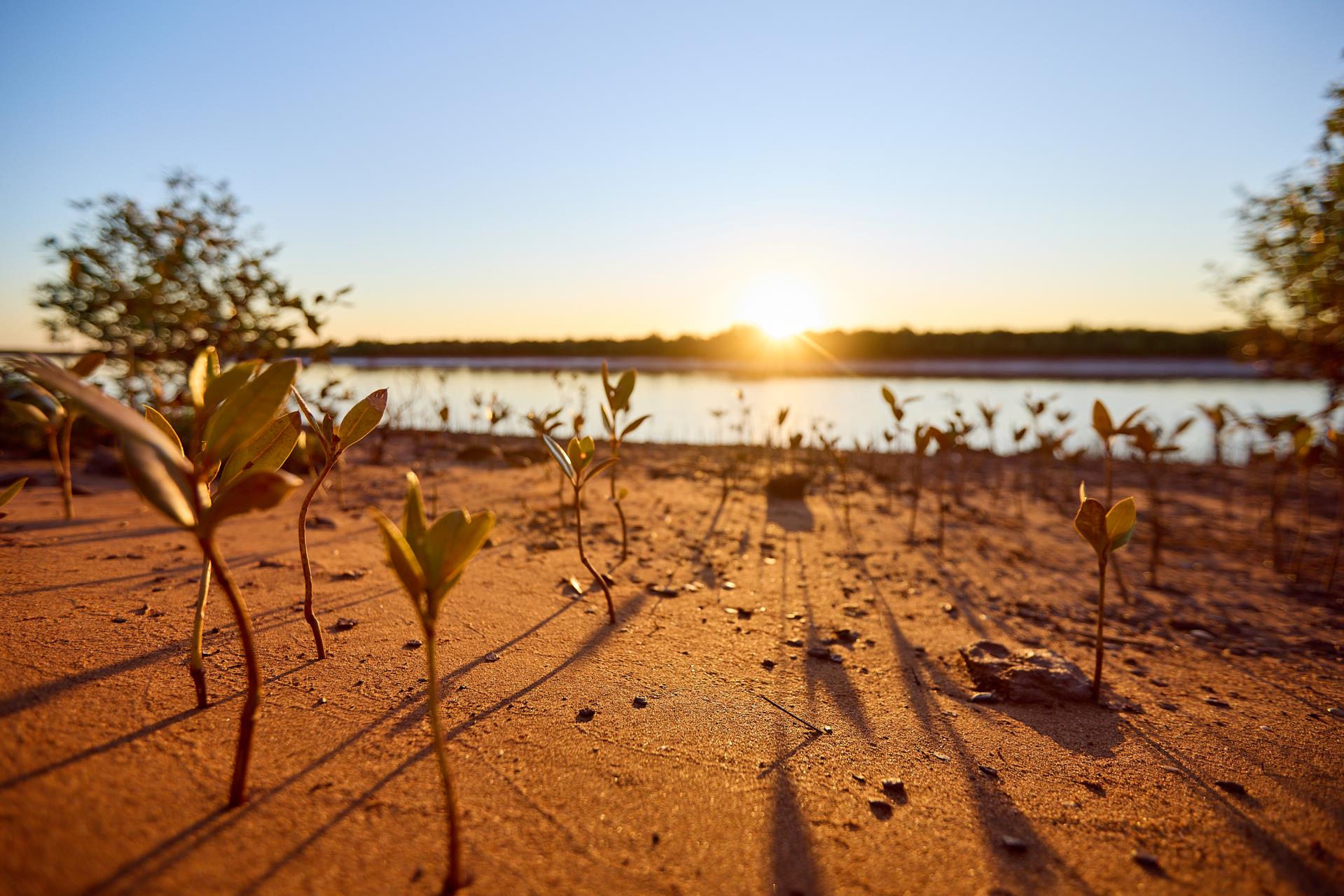 Economic and Tourism Development Committee