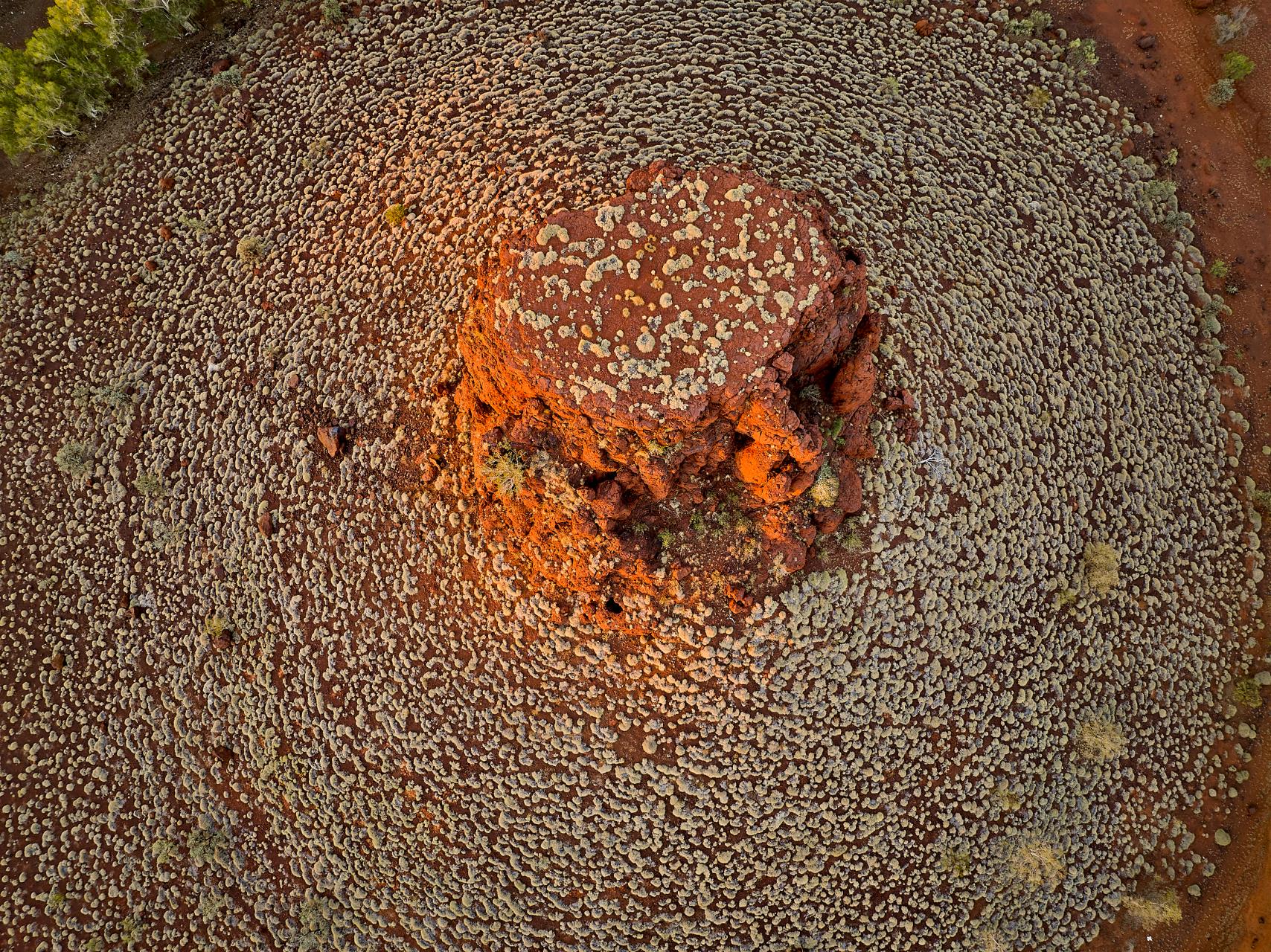 Ordinary Meeting of Council