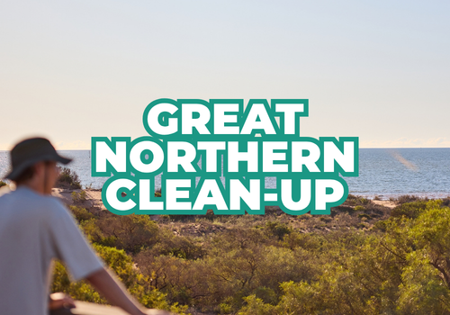 Great Northern Clean-Up