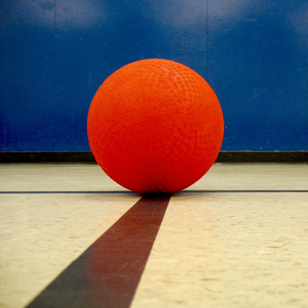 Tom Price Dodgeball with WA Police