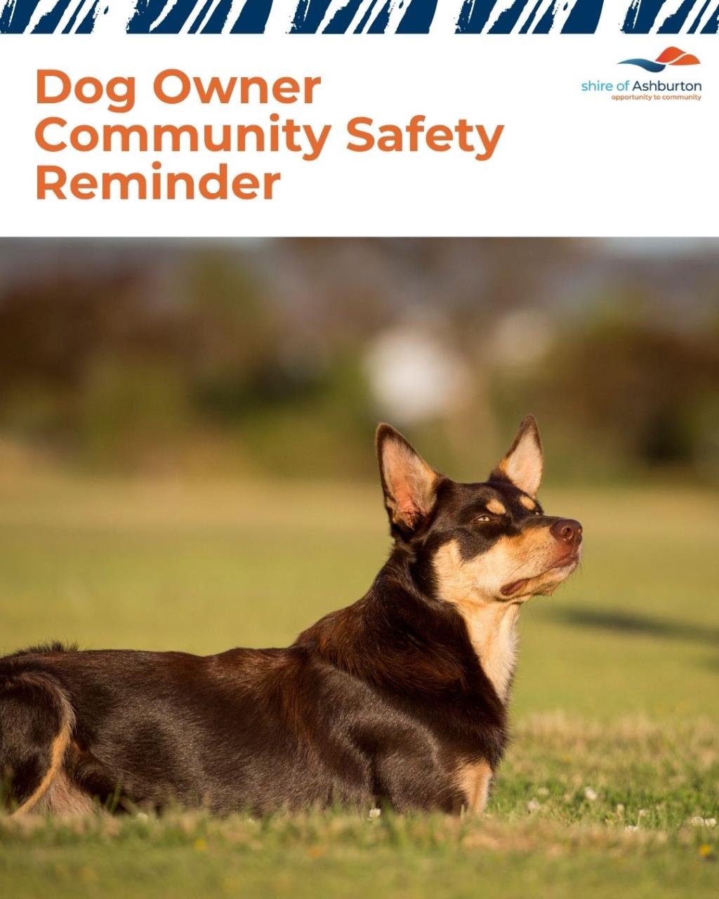 Dog Owner Community Safety Reminder