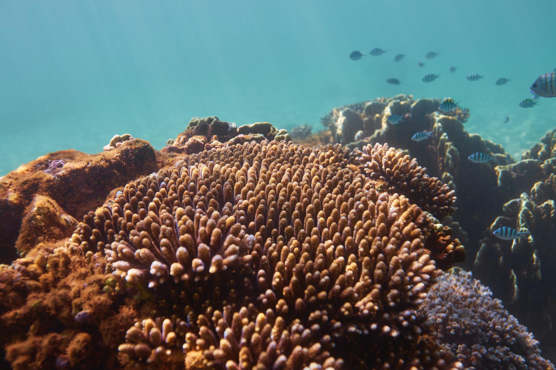 Community Update - Exmouth Gulf Marine Park