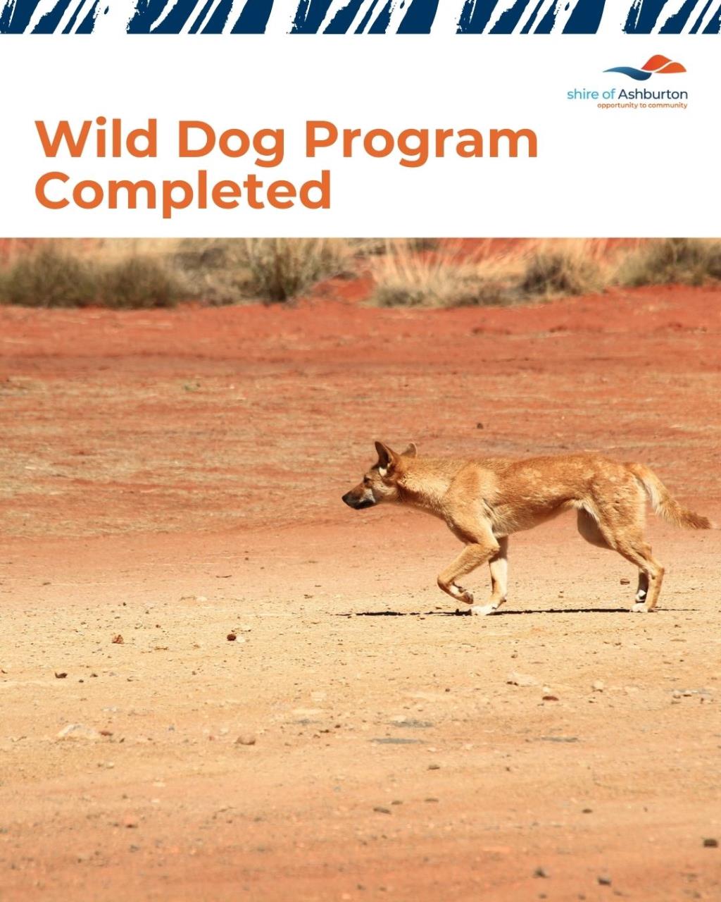 Wild Dog Program Completed