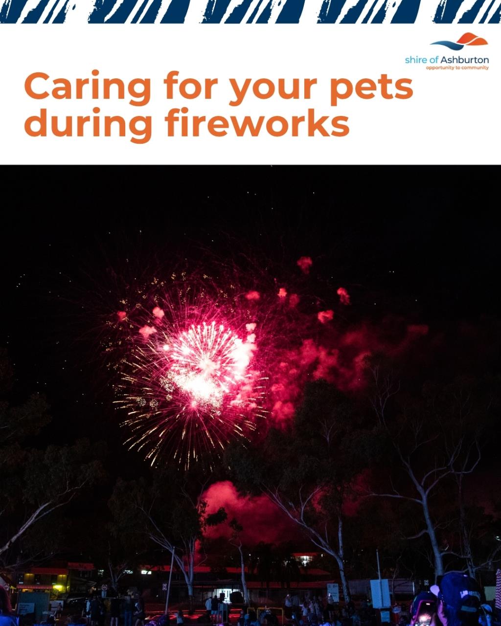 Caring for your pets during fireworks Rio Tinto Picnic Day