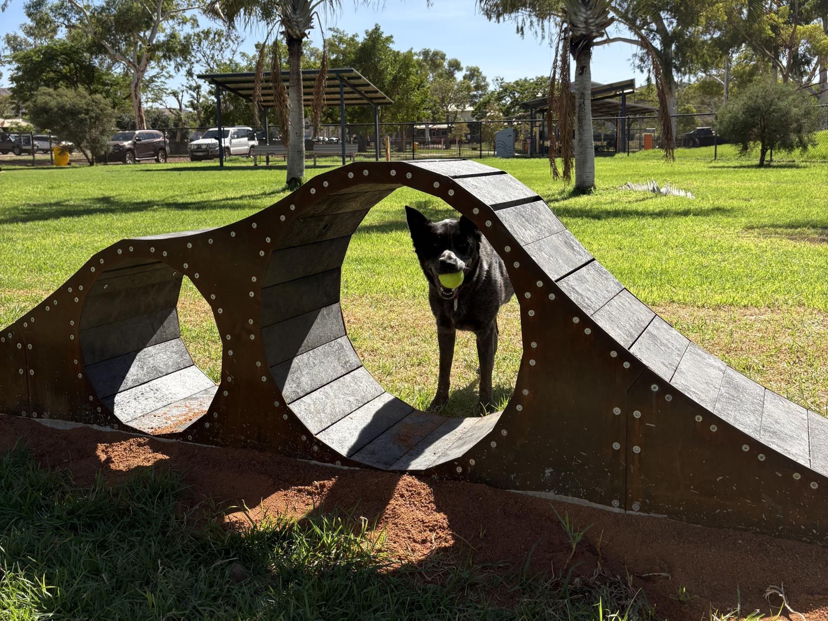 New Agility Equipment for the Tom Price Dog Park!