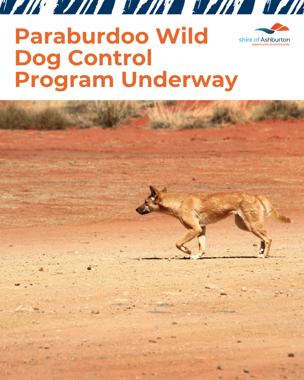 Paraburdoo Wild Dog Control Program Underway