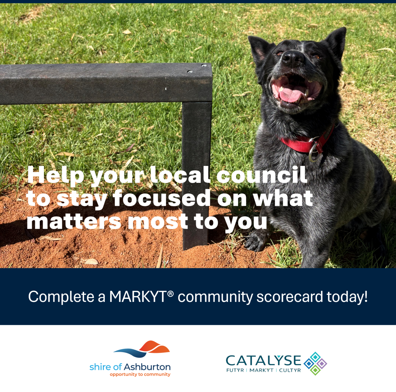 Complete a MARKYT Community Scorecard!