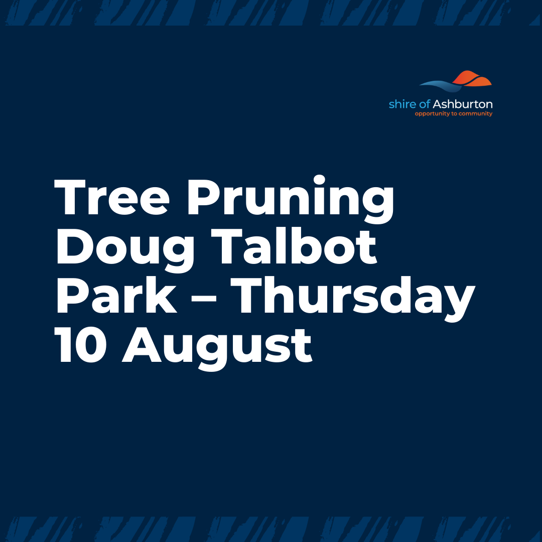 Tree Pruning undertaken at Tom Price Community Centre and Doug Talbot
