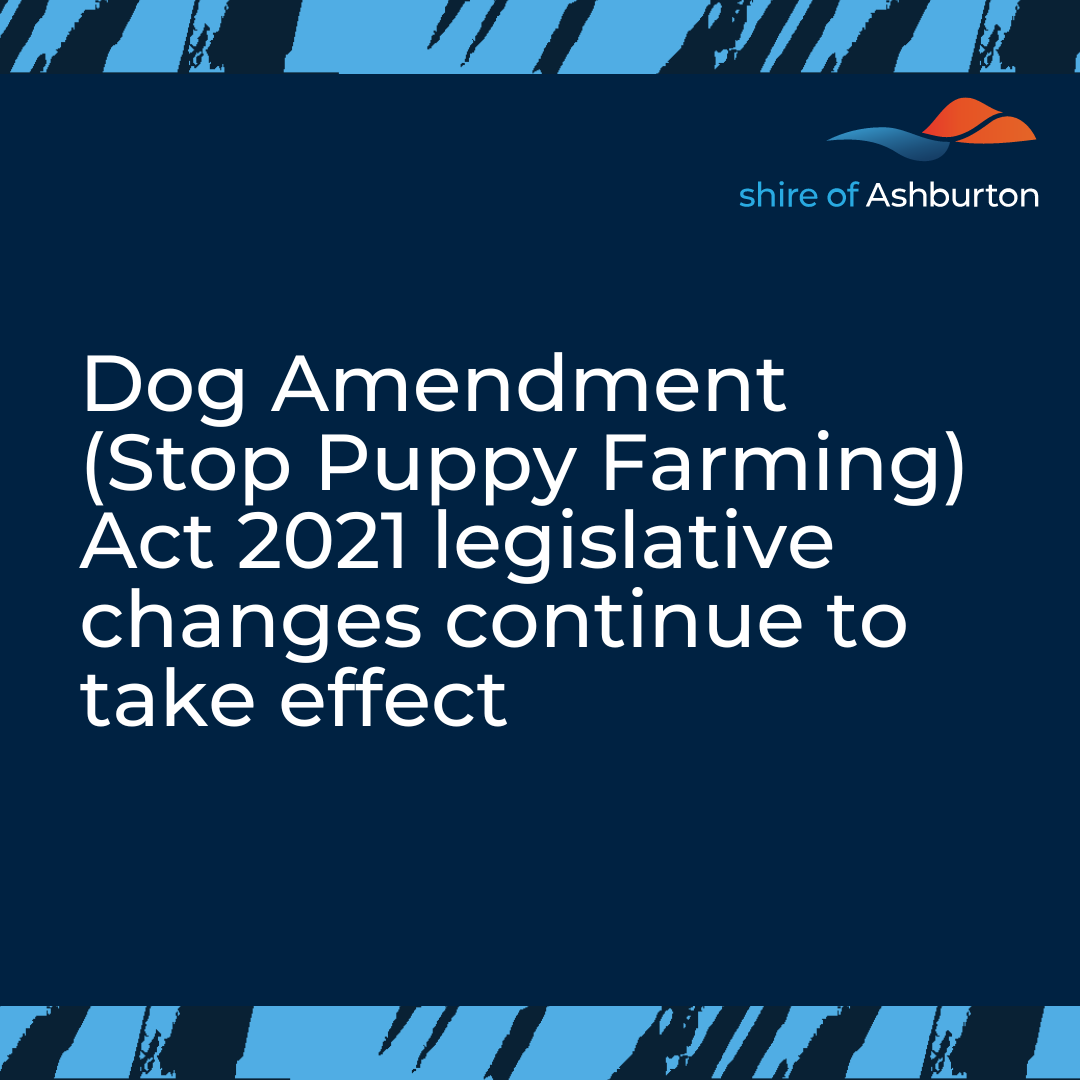 Dog Amendment (Stop Puppy Farming) Act 2021 legislative changes continue