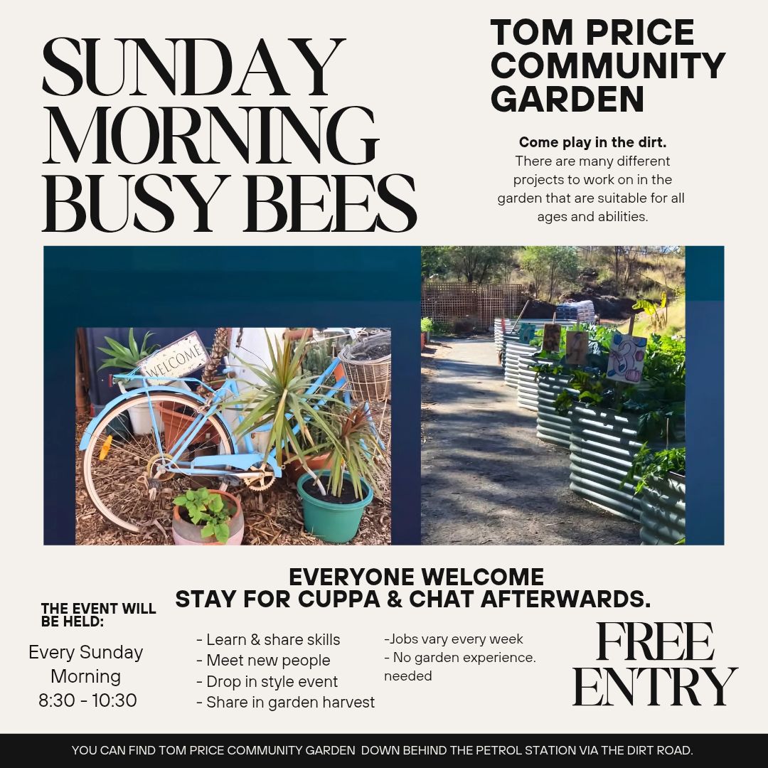 Tom Price Community Garden Busy Bees